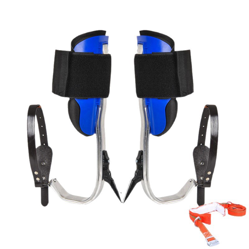 Outdoor Lighting On Trees - Picking on the tree, foot buckles,